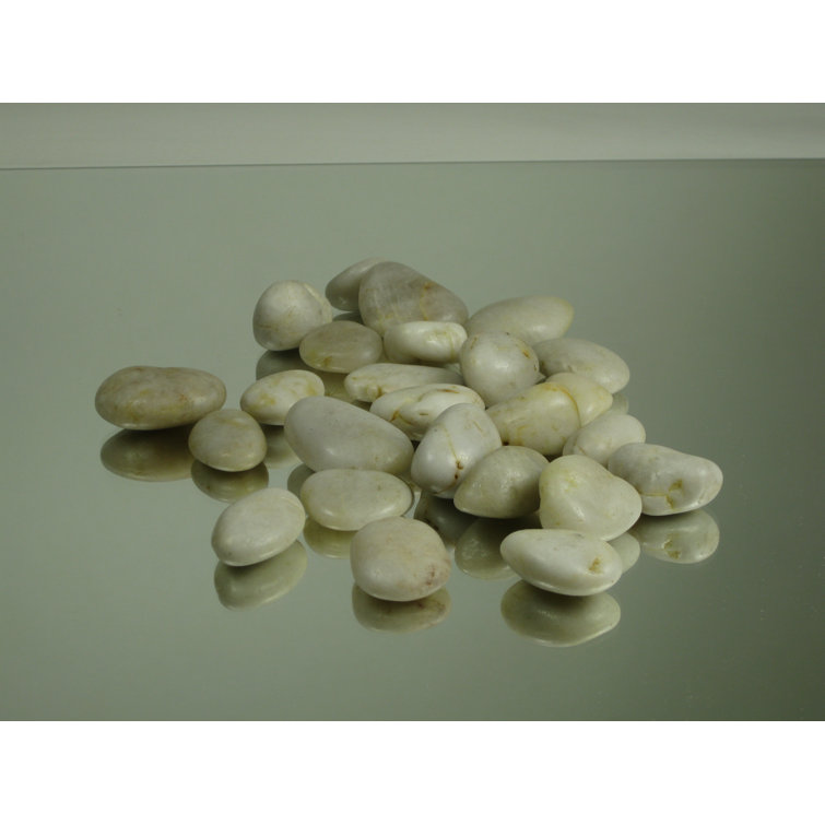 WGVInternational Stone Vase Fillers & Reviews Wayfair